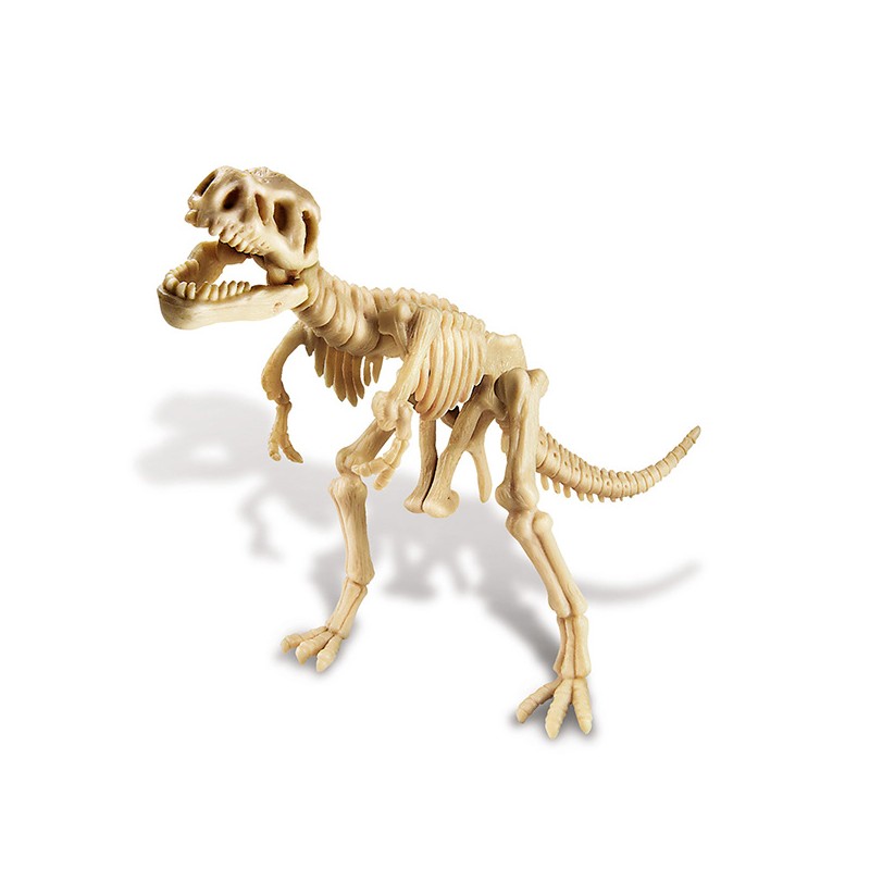 TYRANNOSAURUS REX