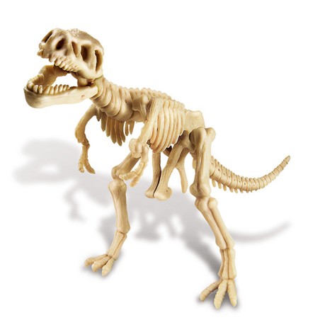 TYRANNOSAURUS REX