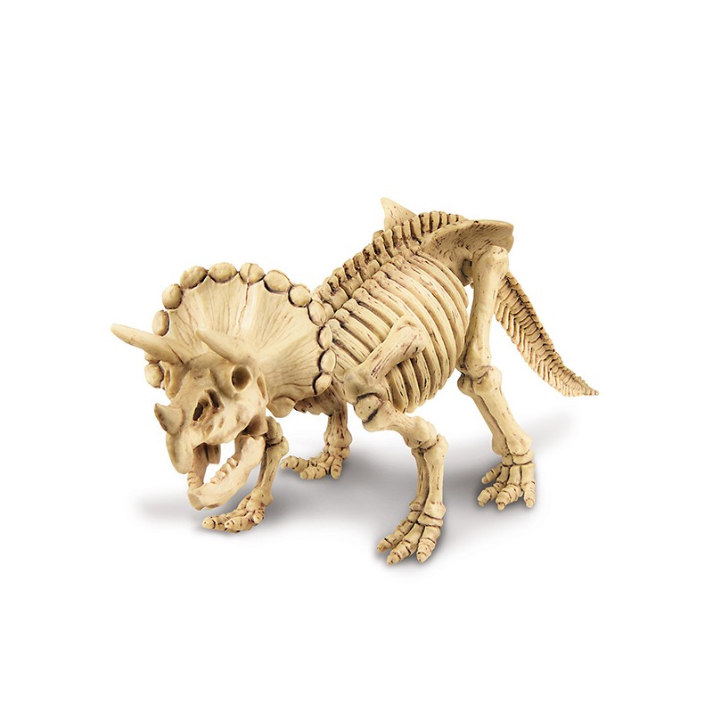 DINO TRICERATOPS