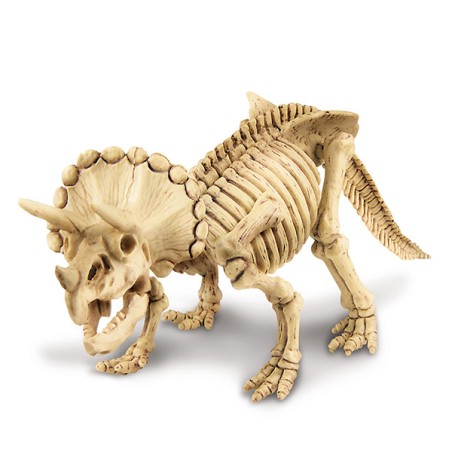 DINO TRICERATOPS