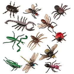 INSECTOS 12 FIG