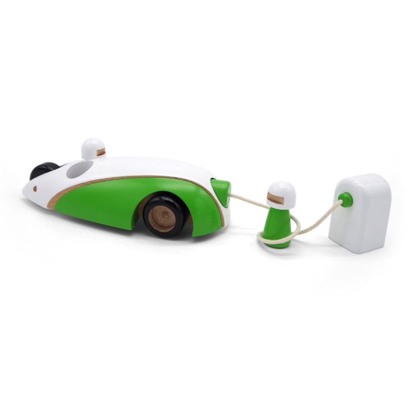 GREEN RIDER COCHE
