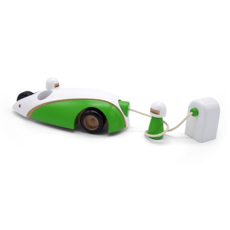 GREEN RIDER COCHE