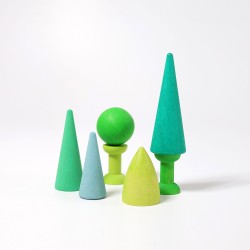 BOSQUE MIXTO