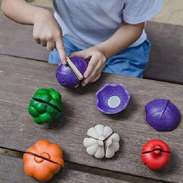 SET 5 VEGETALES