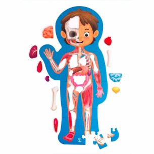 PUZLE CUERPO HUMANO