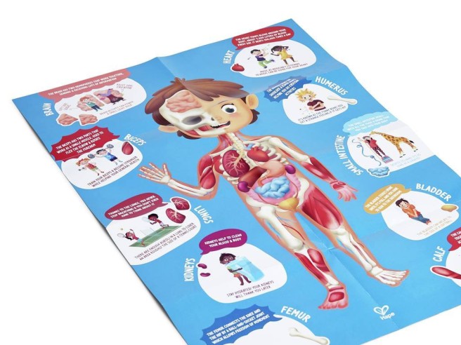 PUZLE CUERPO HUMANO