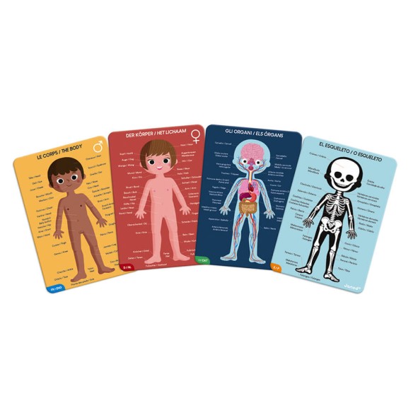 PUZLE CUERPO HUMANO