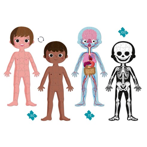 PUZLE CUERPO HUMANO