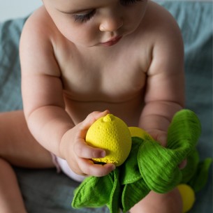 LIMON DOUDOU 2