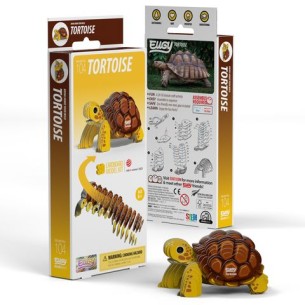 TORTUGA TERRESTRE EUGY 2