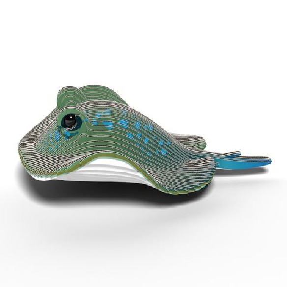 MANTA RAYA EUGY