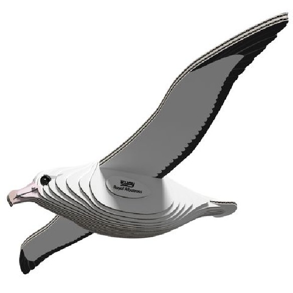 ALBATRO REAL EUGY