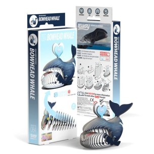 BALLENA GROENLANDIA EUGY 2