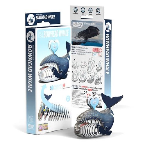BALLENA GROENLANDIA EUGY