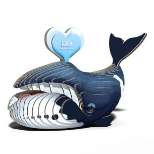 BALLENA GROENLANDIA EUGY