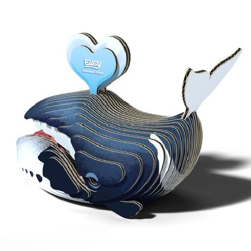 BALLENA GROENLANDIA EUGY