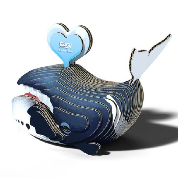 BALLENA GROENLANDIA EUGY