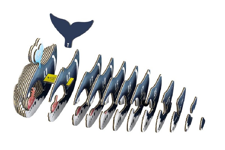 BALLENA GROENLANDIA EUGY