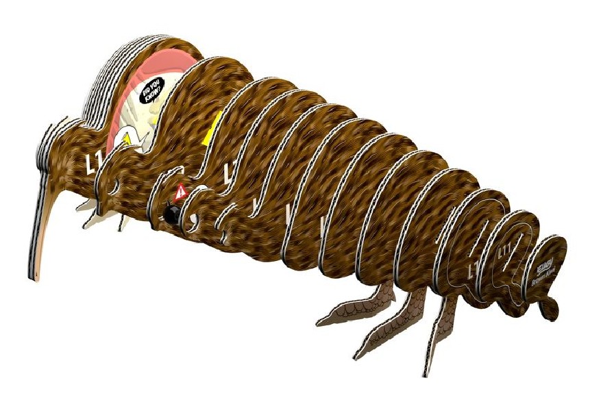KIWI MARRÓN EUGY