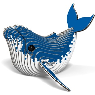 BALLENA JOROBADA EUGY