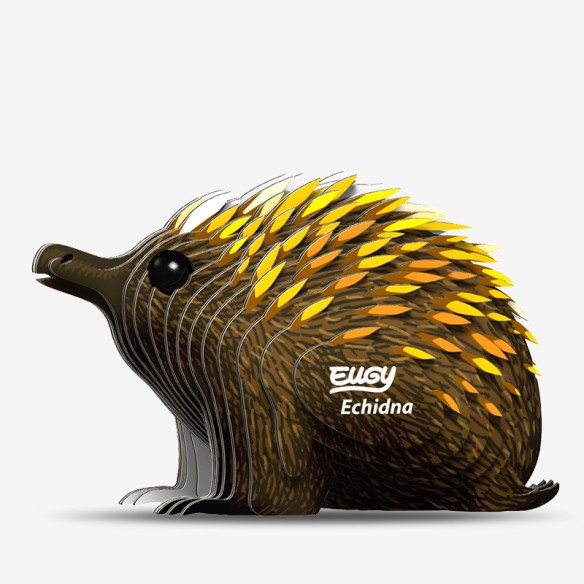 EQUIDNA EUGY