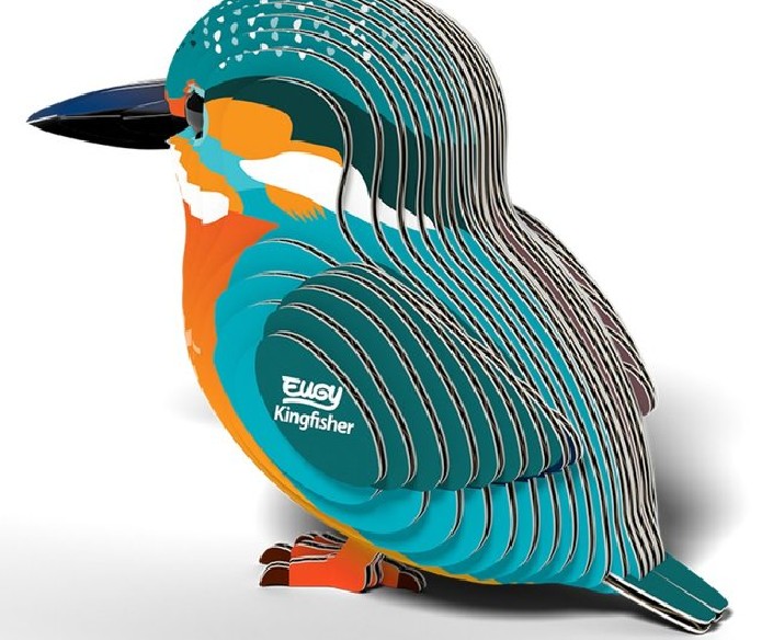MARTIN PESCADOR EUGY