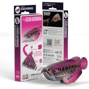 AROWANA ASIÁTICA EUGY 2
