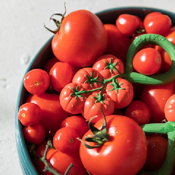 TOMATES SONAJERO