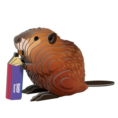 CASTOR EUGY