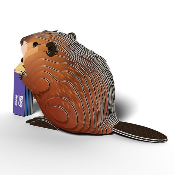 CASTOR EUGY