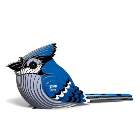 ARRENDAJO AZUL EUGY