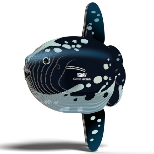 PEZ LUNA DEL OCEANO EUGY